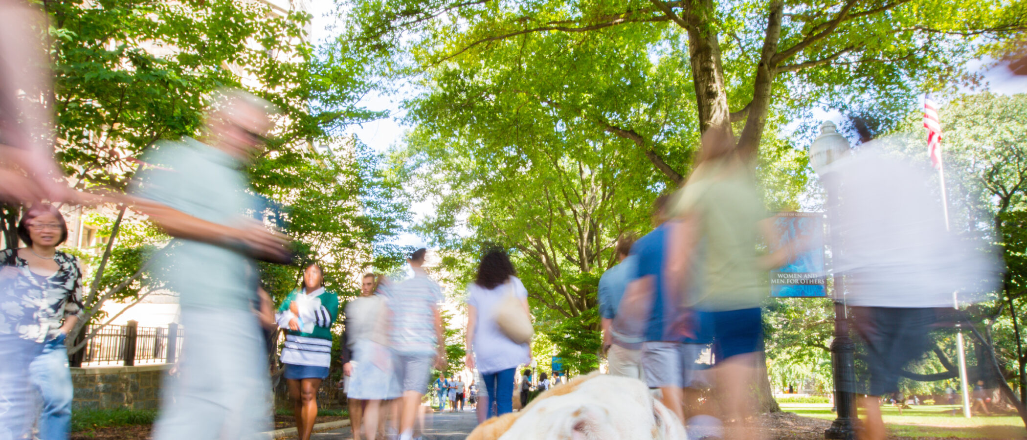 Dining Style Survey Hoya Hospitality